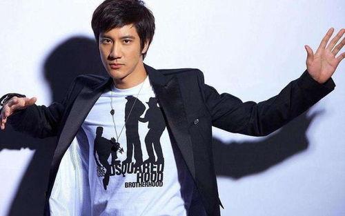 外网爆料王力宏视频,揭秘娱乐圈不为人知的真相  第3张